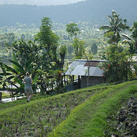 Photo de Bali - Banjar et Gitgit